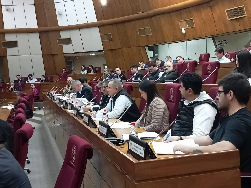 Representantes de la AGP en la reunión conjunta sobre el Ministerio de Energía, Minas e Hidrocarburos